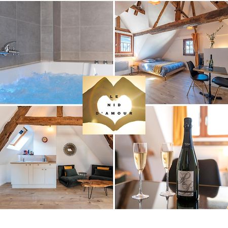 Centre-Ville Le Nid D'Amour Jacuzzi Appartement Rouen Dış mekan fotoğraf